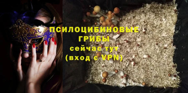 дурь Арсеньев