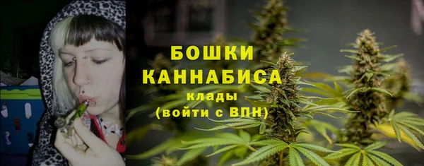 дурь Арсеньев